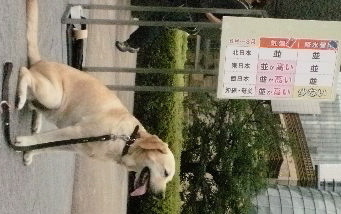 f0052277_223339.jpg