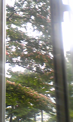 b0003483_104521.jpg