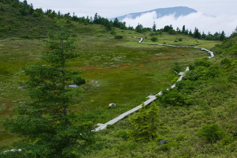 群馬県 草津町 白根山 弓池_c0092386_2221433.jpg