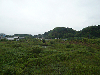 e0066586_72763.jpg