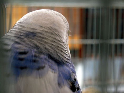 d0131293_21574111.jpg