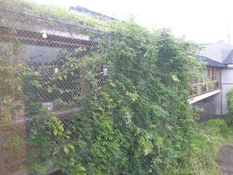 地球のたまご_d0087595_10282556.jpg