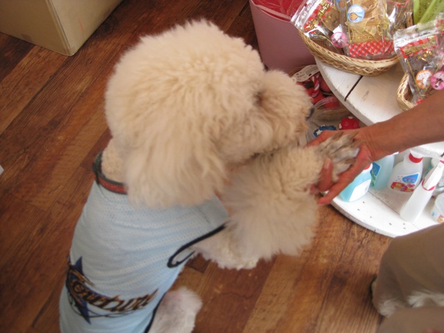 e0059197_12133951.jpg