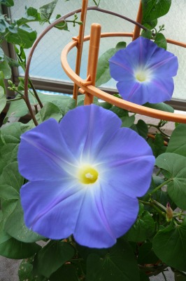 夏休み_c0164805_18194073.jpg