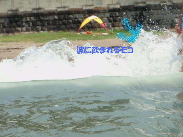 e0138005_0442537.jpg