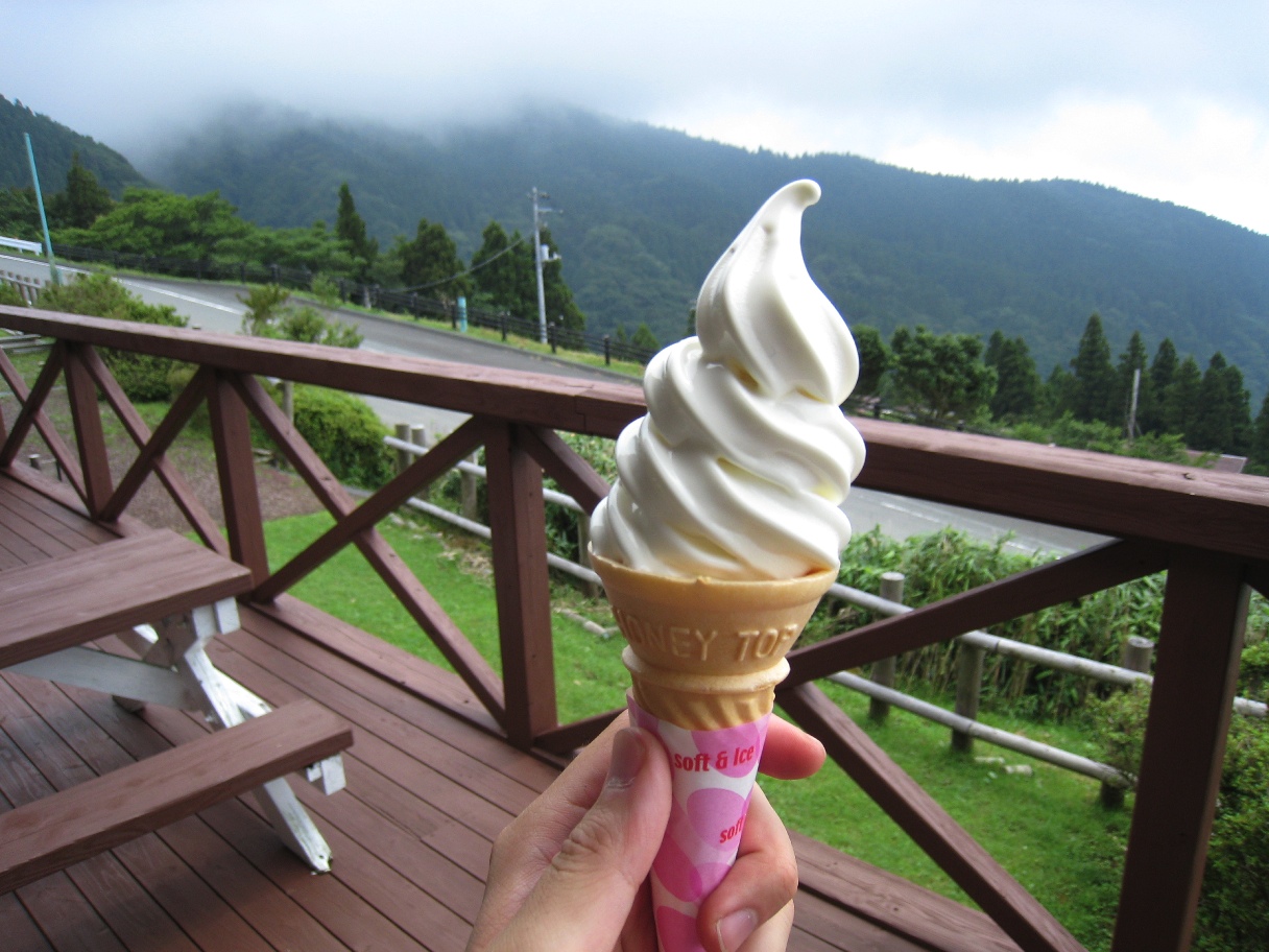 伊豆・山葵ツーリング_f0141609_23202469.jpg