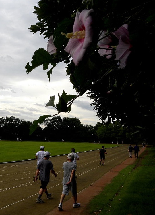 幾久公園【85】　７月19日（日）_c0078410_8392744.jpg