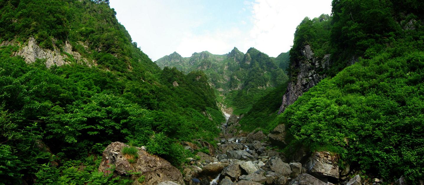 b0062024_7365092.jpg