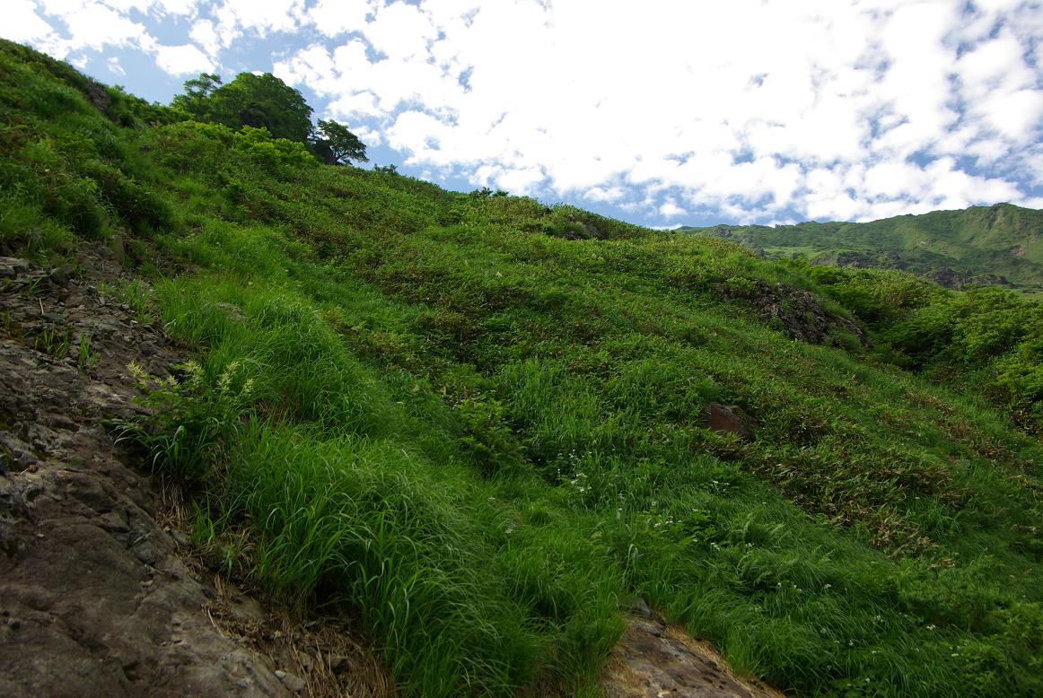 b0062024_8391359.jpg