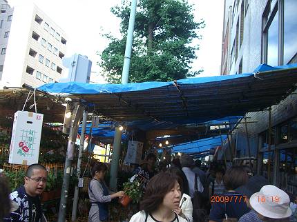 d0065324_22272638.jpg