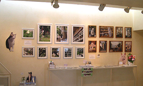うめぐみ写真展_f0138928_16255437.jpg