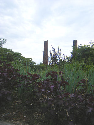 NIPPONの夏休み_c0069036_22473910.jpg