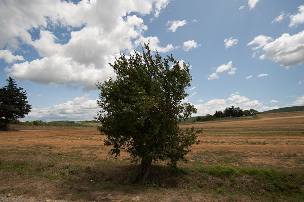 c0120439_1565664.jpg