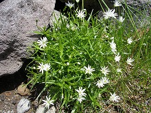 d0048350_9295329.jpg