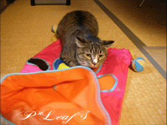 c0176651_12112427.gif