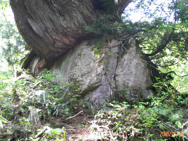 片貝川～洞杉群、蛇石、沌滝_f0107352_0463790.jpg