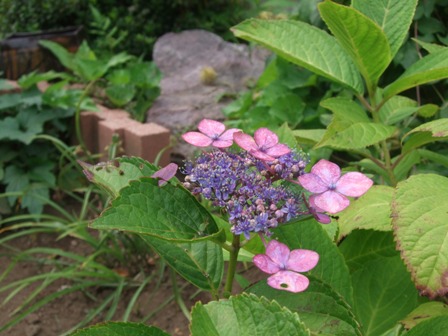 c0111557_21203187.jpg