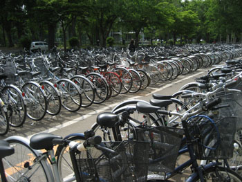 f0009457_95504.jpg