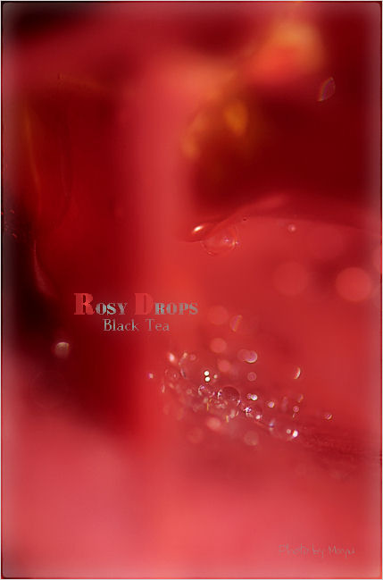 Rosy Drops♪_c0044166_2219465.jpg