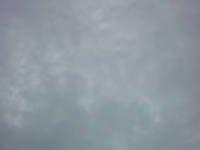 「今日も曇り空です。」_e0051174_7223372.jpg