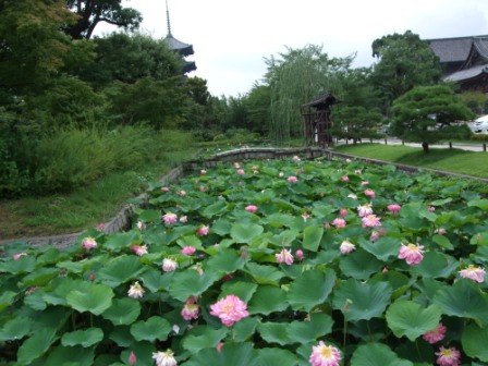 西国街道リベンジ（後編）_e0138081_17233985.jpg