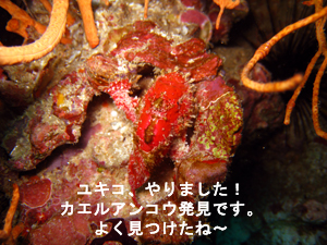 ミッション・コンプリート!! in シャークポイント_f0144385_0274778.jpg