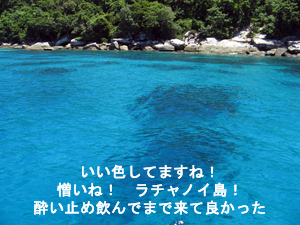 王子再び…　ラチャノイ・ラチャヤイ３dive_f0144385_22193818.jpg