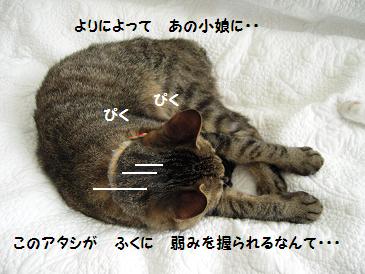 猫のてんかん発作と　　ぷーさんの実態は・・　_c0139488_23392291.jpg