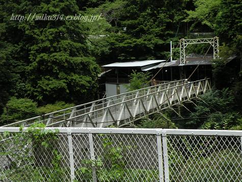 京都嵯峨野トロッコ列車_a0124689_13385298.jpg