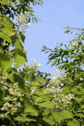 気分は上々?_d0028589_1035329.jpg