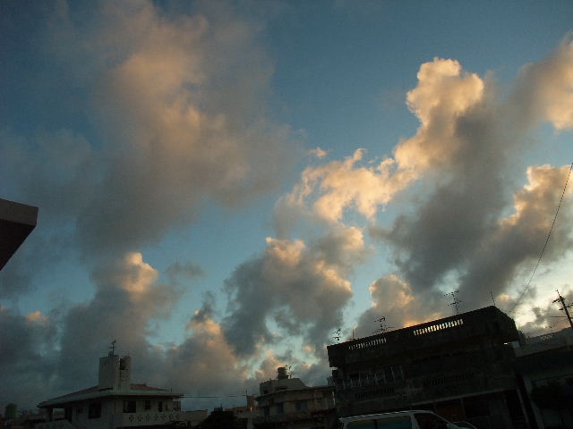 a0118493_2159332.jpg