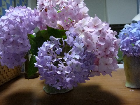 c0108693_9141034.jpg