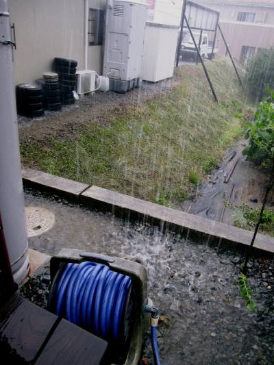 雷と大雨の中で。。_e0167795_20434438.jpg