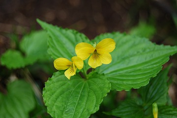c0124100_23103924.jpg