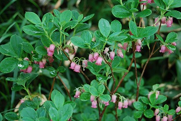 c0124100_2384321.jpg