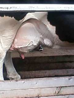 c0054101_231562.jpg