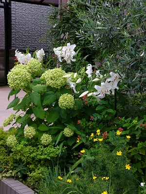 a0123003_2029296.jpg