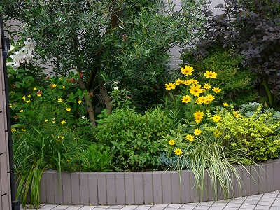 a0123003_20294845.jpg
