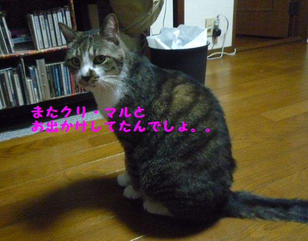 e0018604_20963.jpg