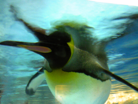 a0078706_15093.jpg