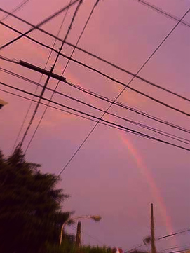 夕暮れ_e0084214_159177.jpg