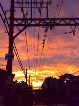 夕暮れ_e0084214_1594578.jpg