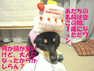 c0185516_23161169.jpg