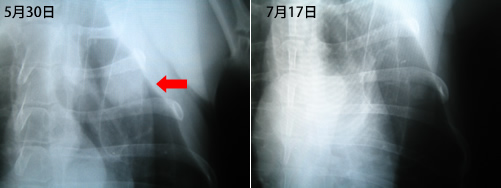 c0012120_1725125.jpg