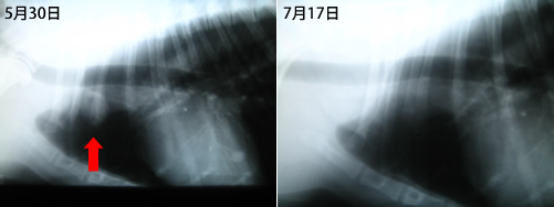 c0012120_17281970.jpg