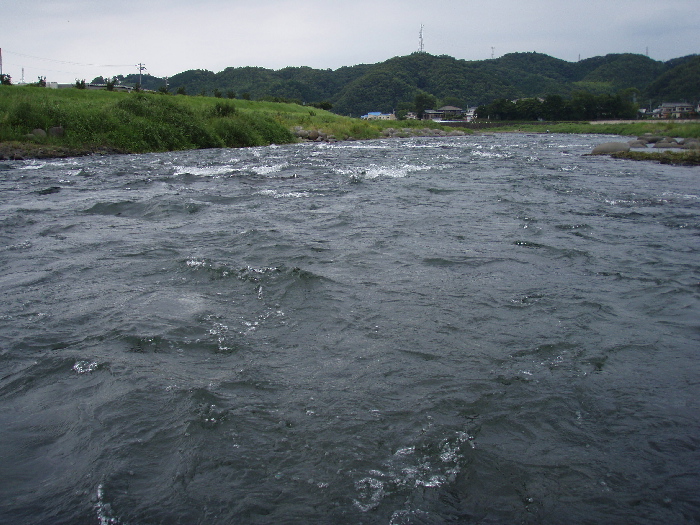 f0103126_20224569.jpg