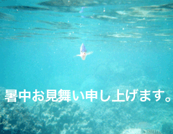 c0188928_14171353.gif