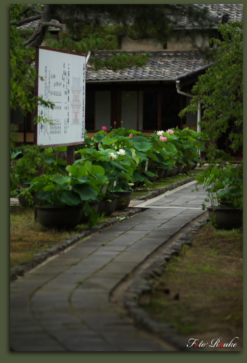 －喜光寺－ 花蓮 【前】_e0150228_02302.jpg