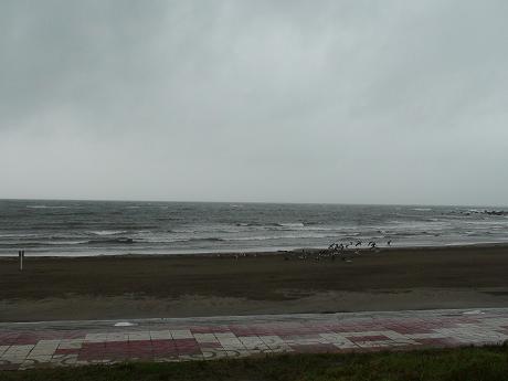 f0013530_11964.jpg