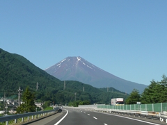 d0140133_958163.jpg
